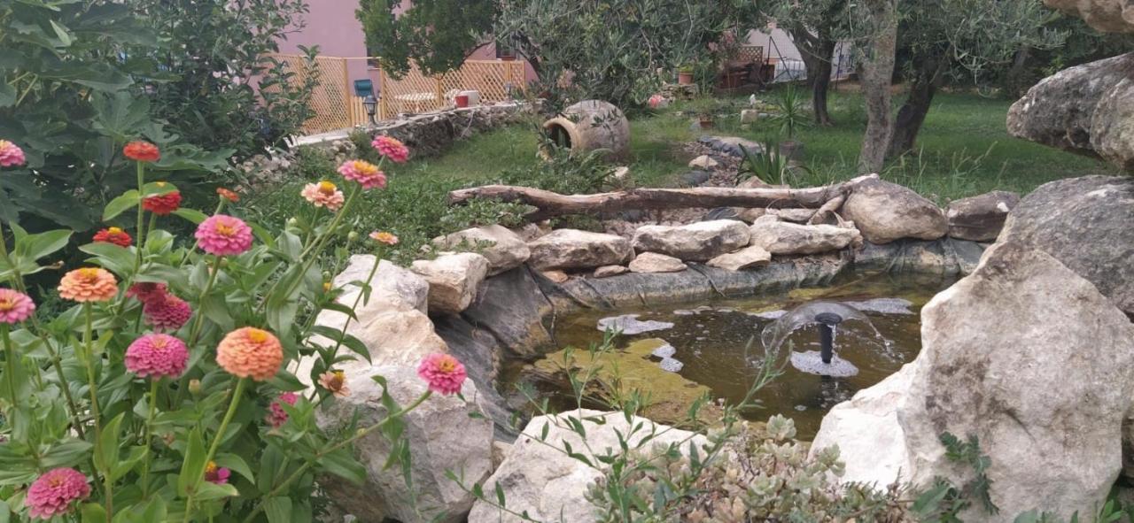 Albero Della Musica Bed & Breakfast Sassari Luaran gambar