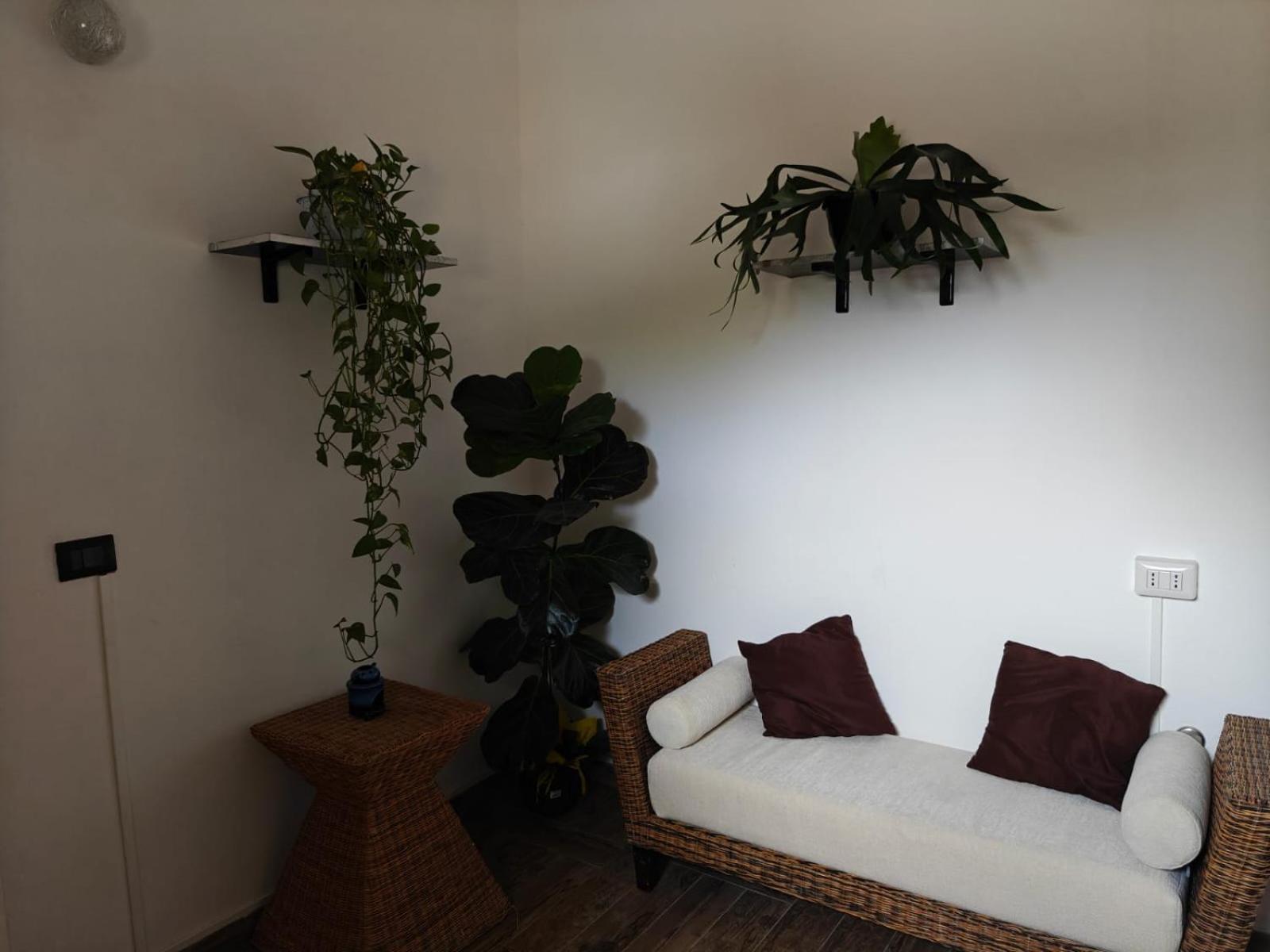 Albero Della Musica Bed & Breakfast Sassari Luaran gambar